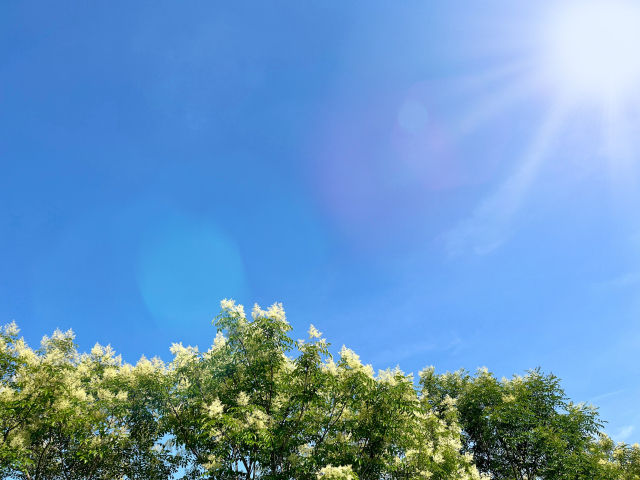 8.【24時間いつでも無料相談可】東京都で探偵事務所・興信所をお探しなら「総合探偵社Beerus」にお任せください