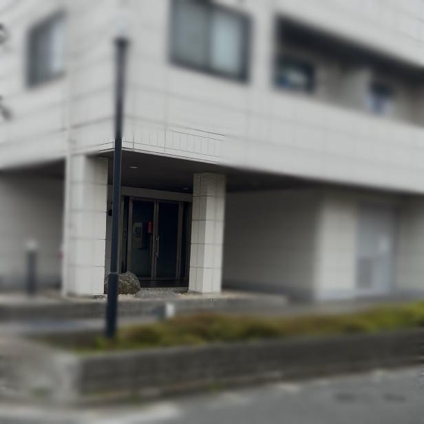 調査写真