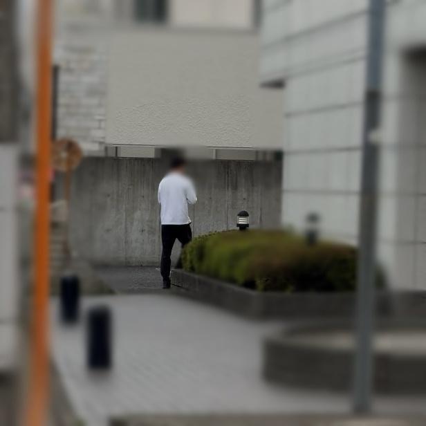 調査写真