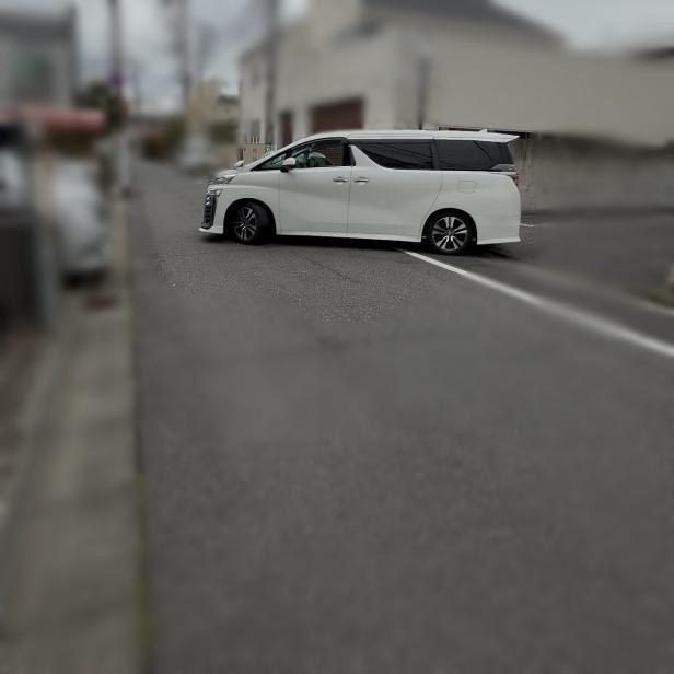 調査写真