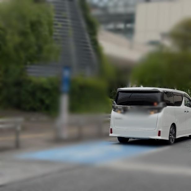調査写真