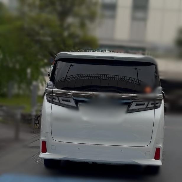 調査写真