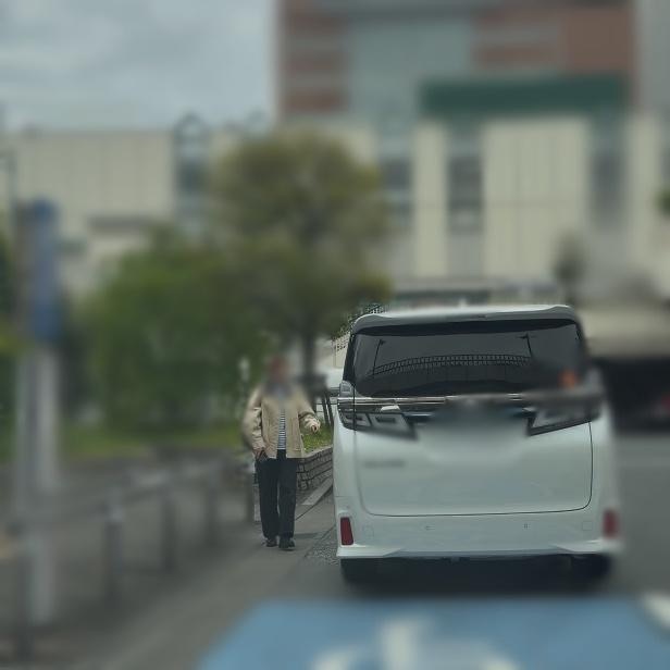 調査写真