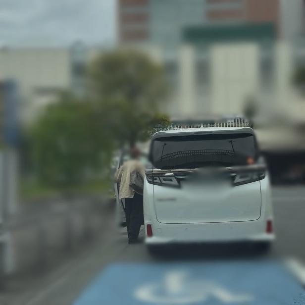 調査写真
