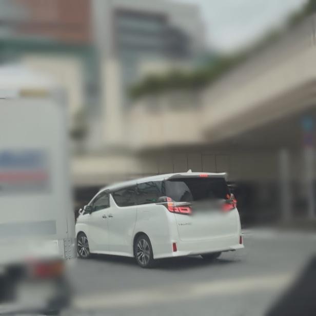 調査写真