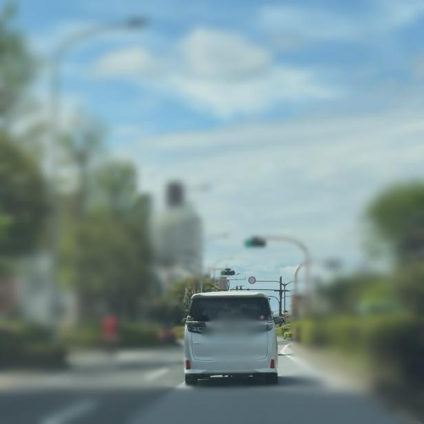 調査写真