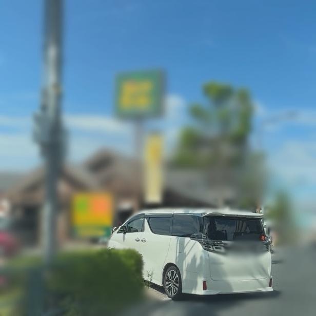 調査写真