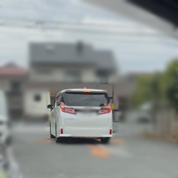 調査写真