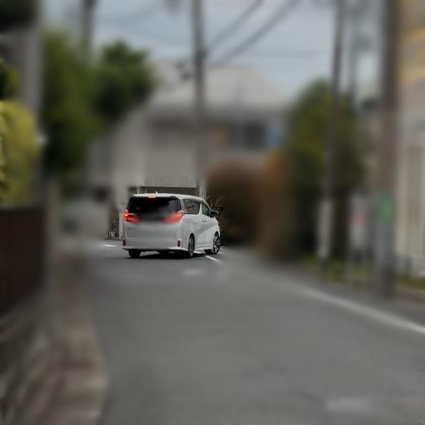 調査写真