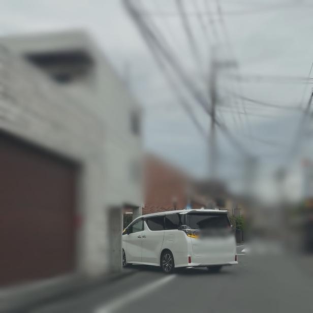 調査写真