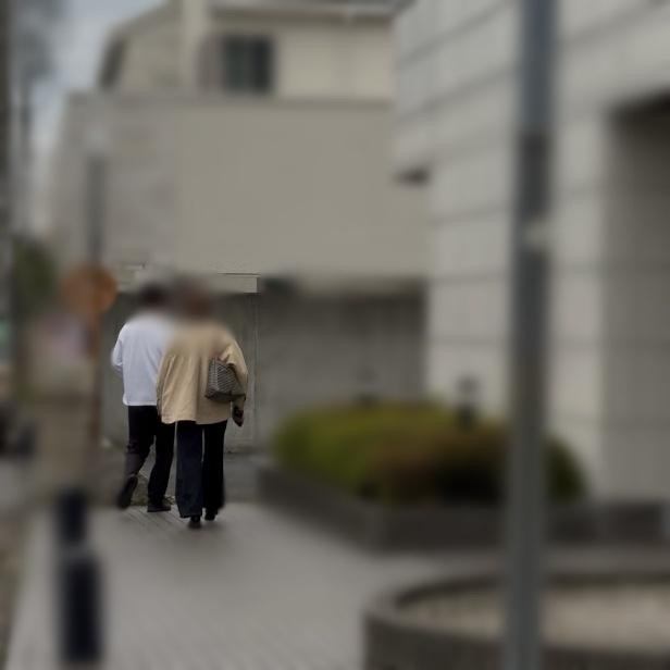 調査写真