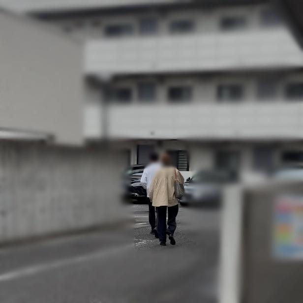 調査写真