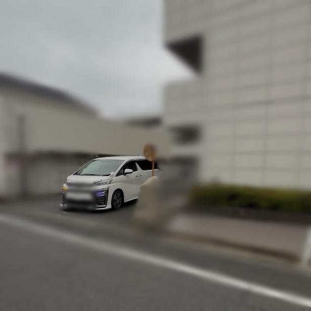 調査写真