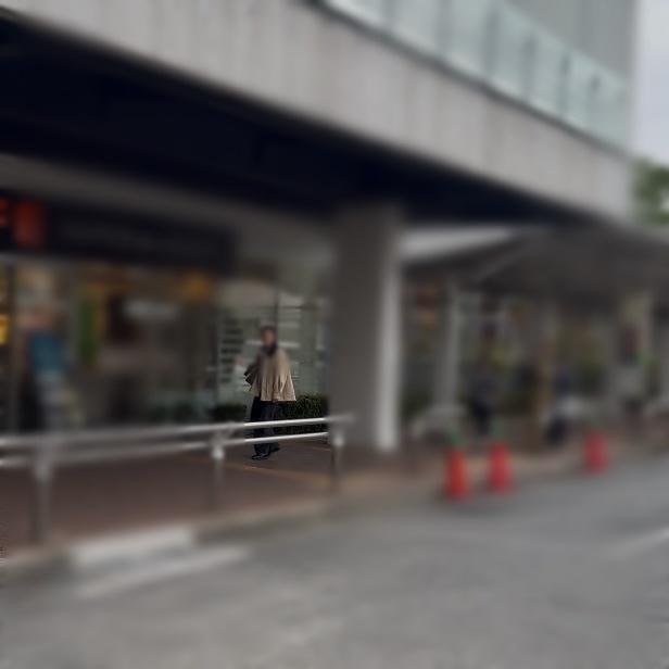 調査写真
