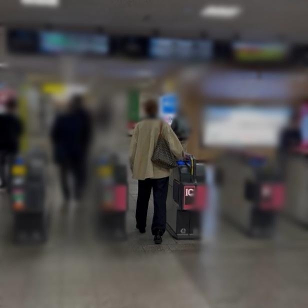 調査写真